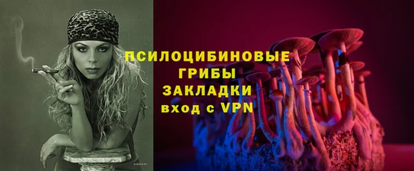 spice Богданович