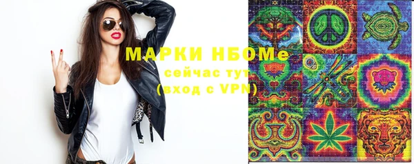 spice Богданович