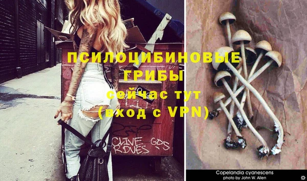 марки nbome Богородск