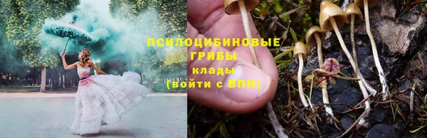 мет Богородицк
