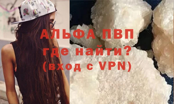 spice Богданович